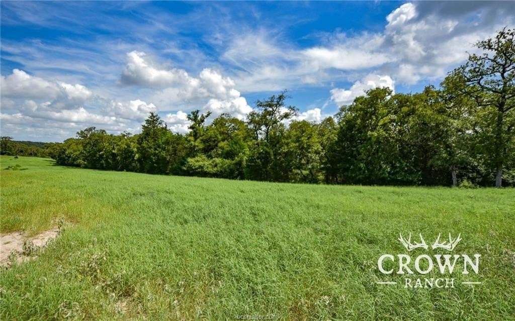 1,057 acres in Burleson County gallery image 4