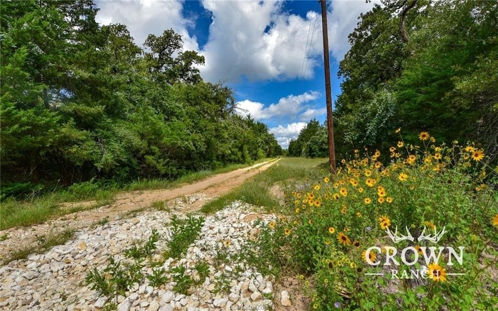 1,057 acres in Burleson County - photo 12