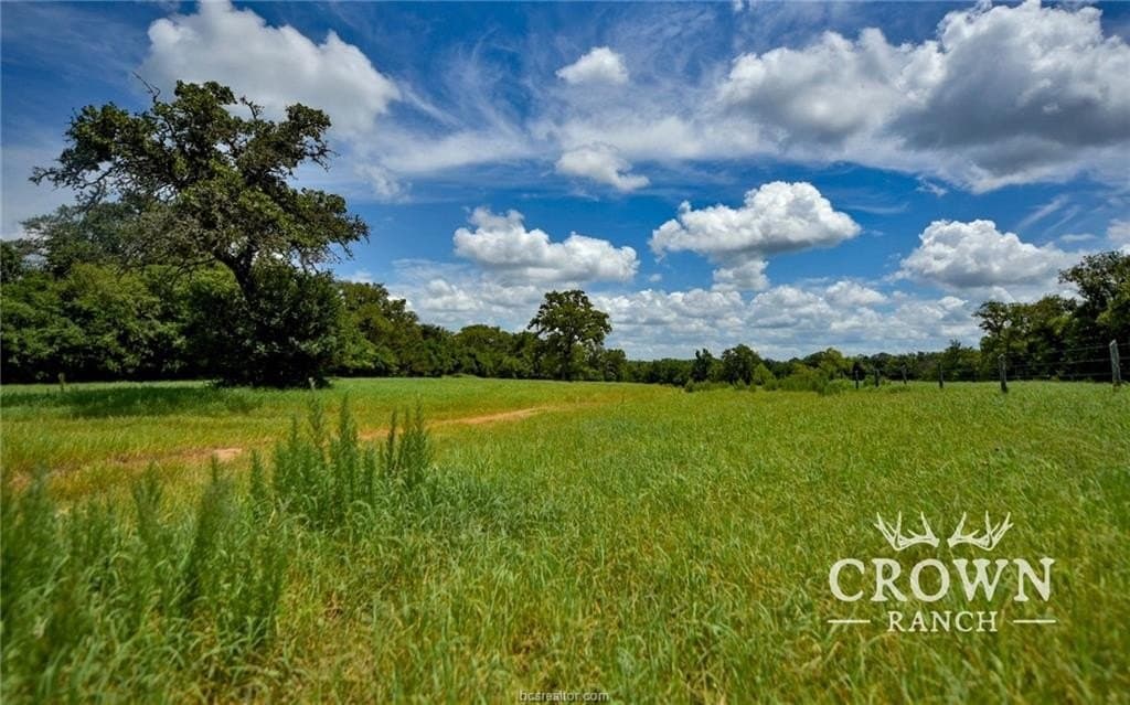 1,057 acres in Burleson County - photo 14