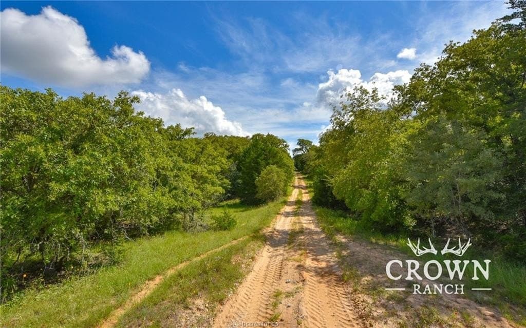 1,057 acres in Burleson County - photo 10