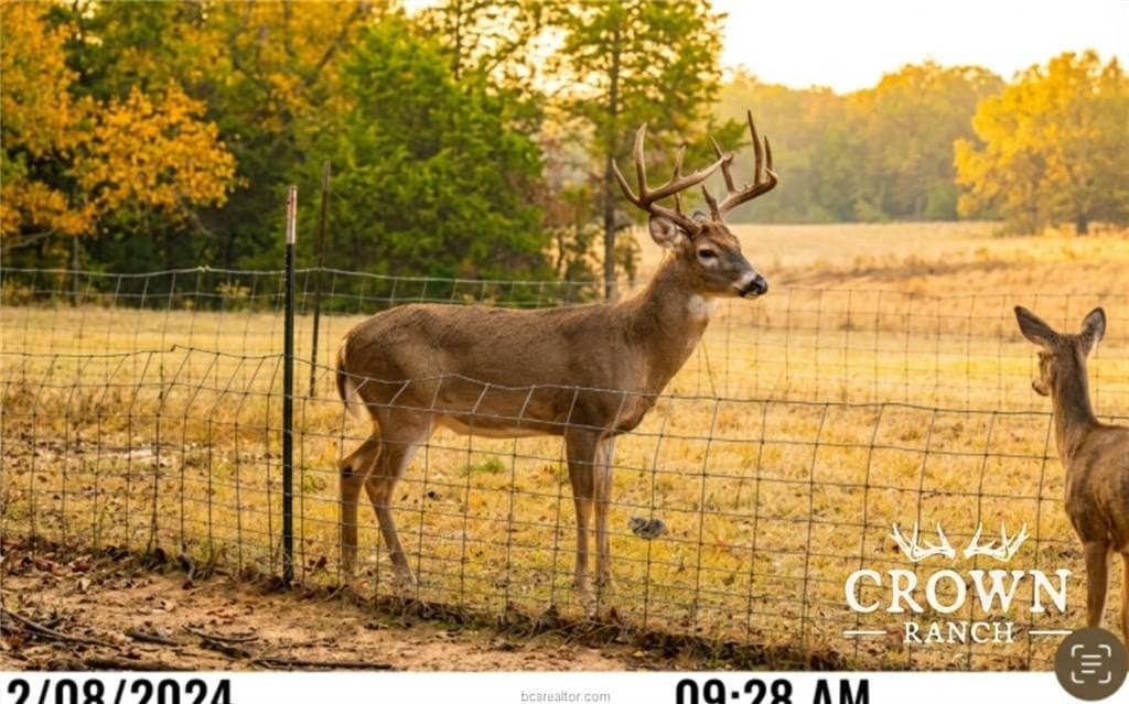 1,057 acres in Burleson County - photo 20