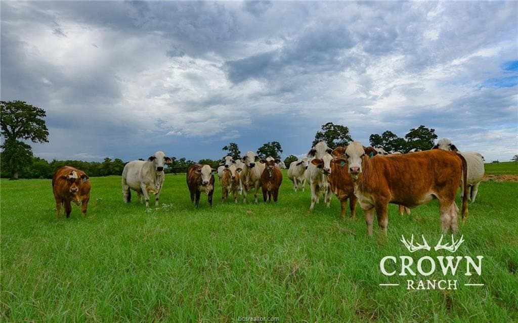 1,057 acres in Burleson County - photo 15