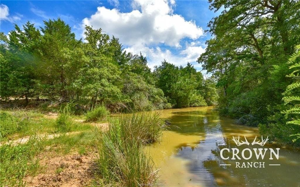 1,057 acres in Burleson County gallery image 2
