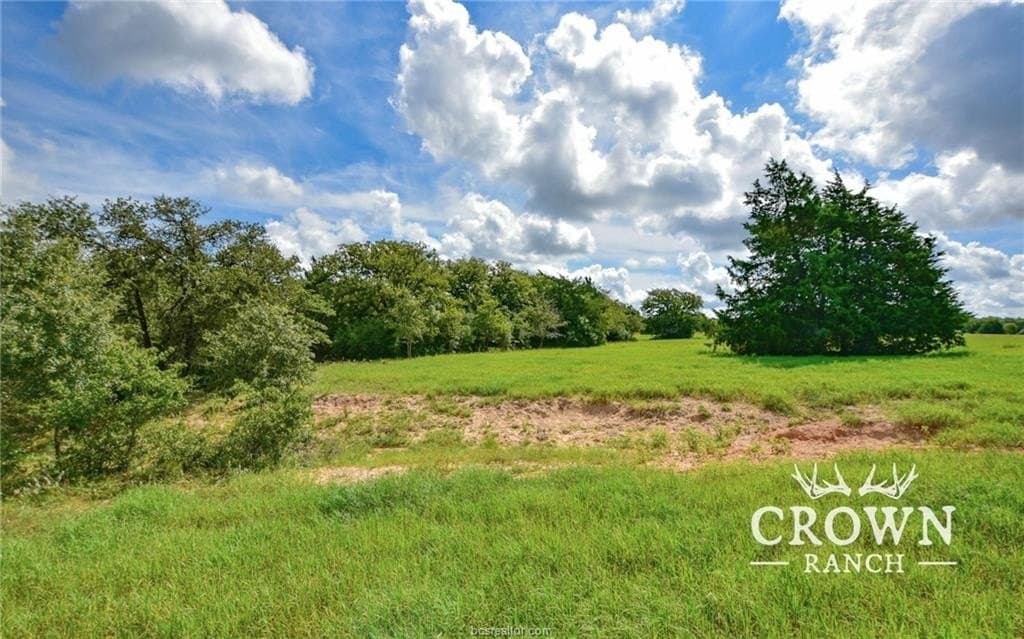 1,057 acres in Burleson County - photo 13