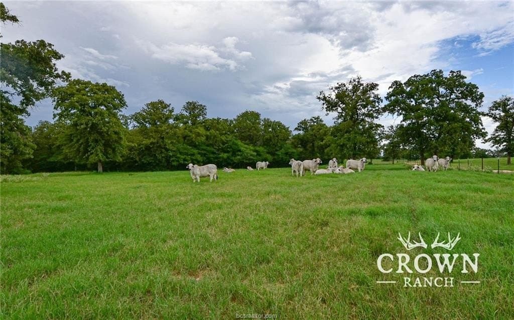 1,057 acres in Burleson County - photo 18