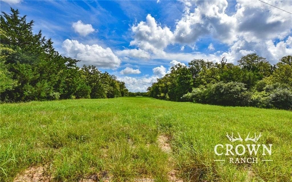 1,057 acres in Burleson County - photo 7