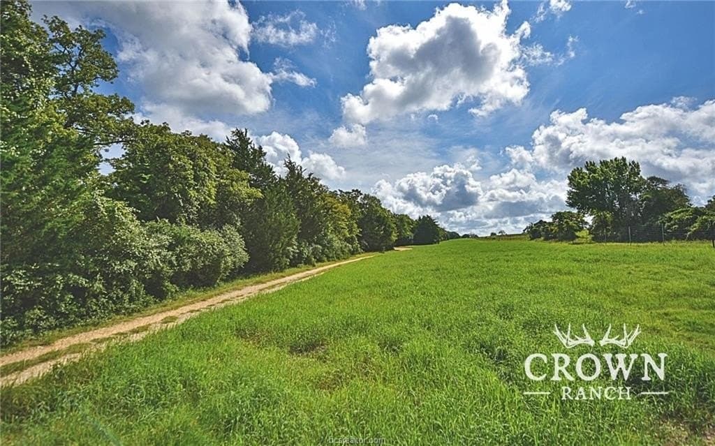 1,057 acres in Burleson County - photo 11
