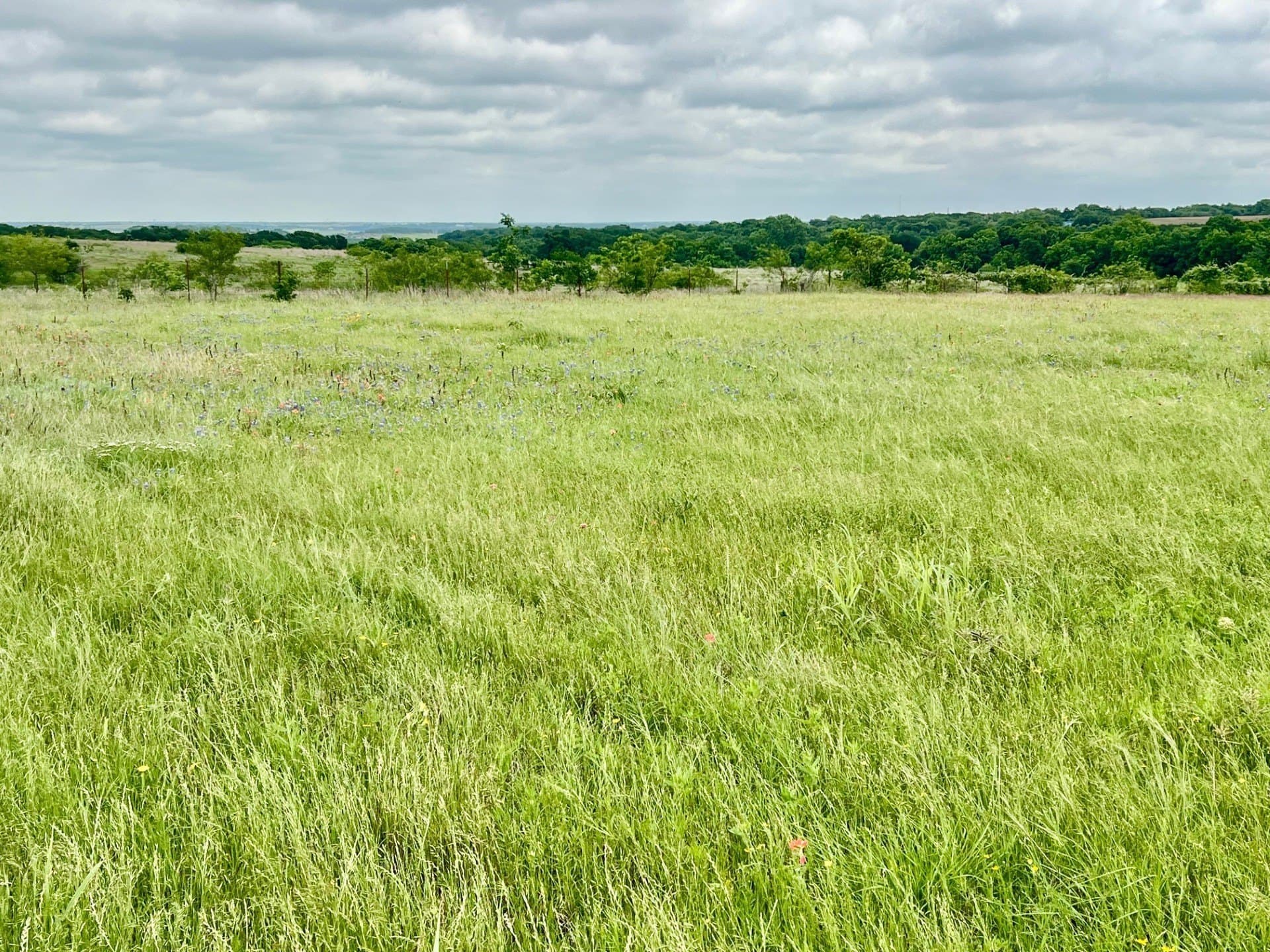 70 acres in McLennan County - photo 36