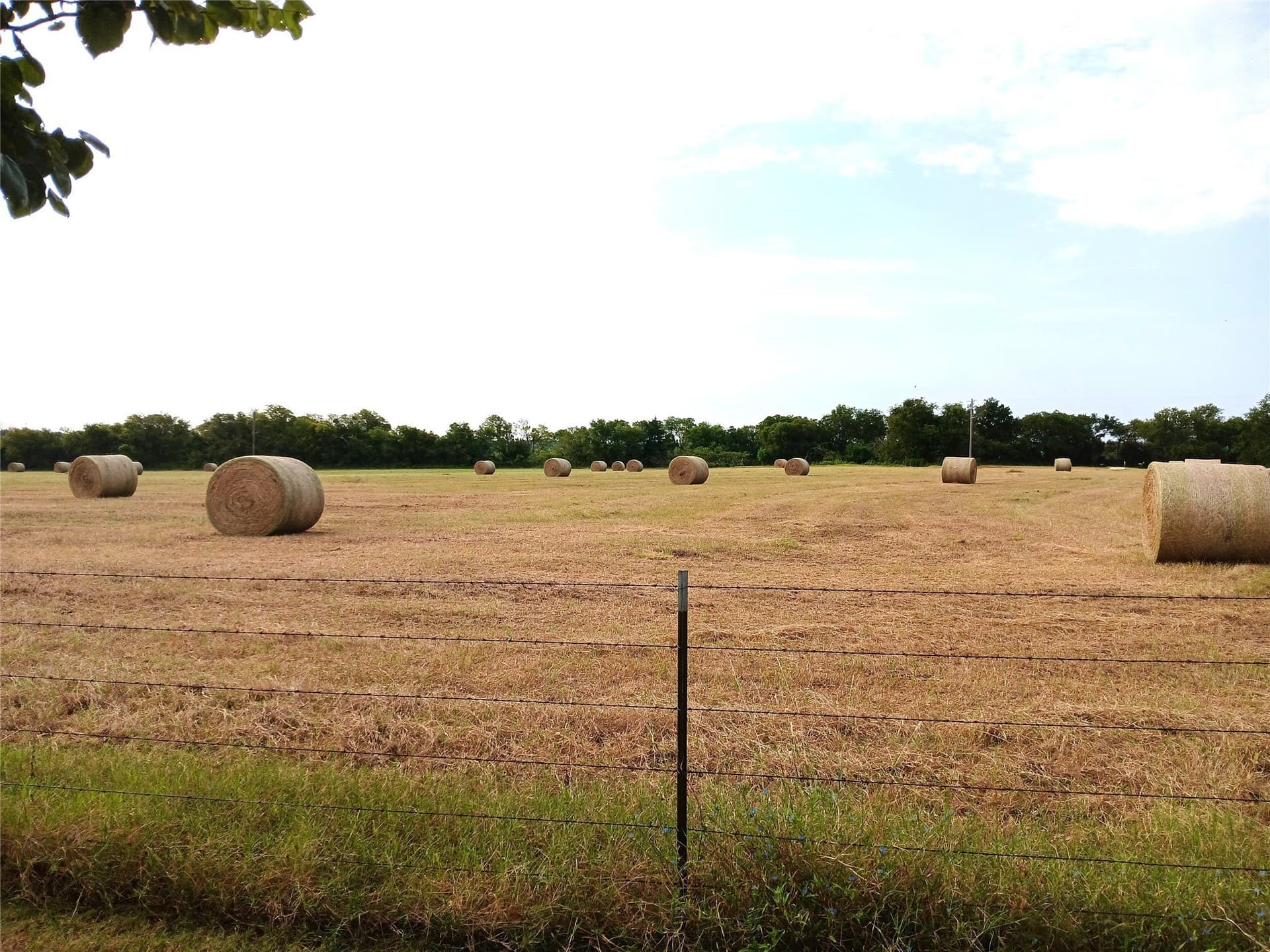 70 acres in McLennan County - photo 33