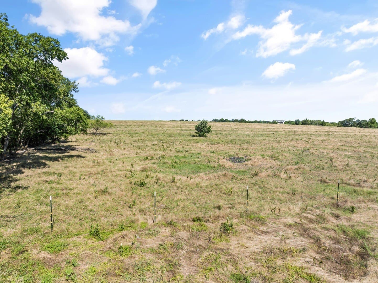 36.87 acres in Collin County - photo 29