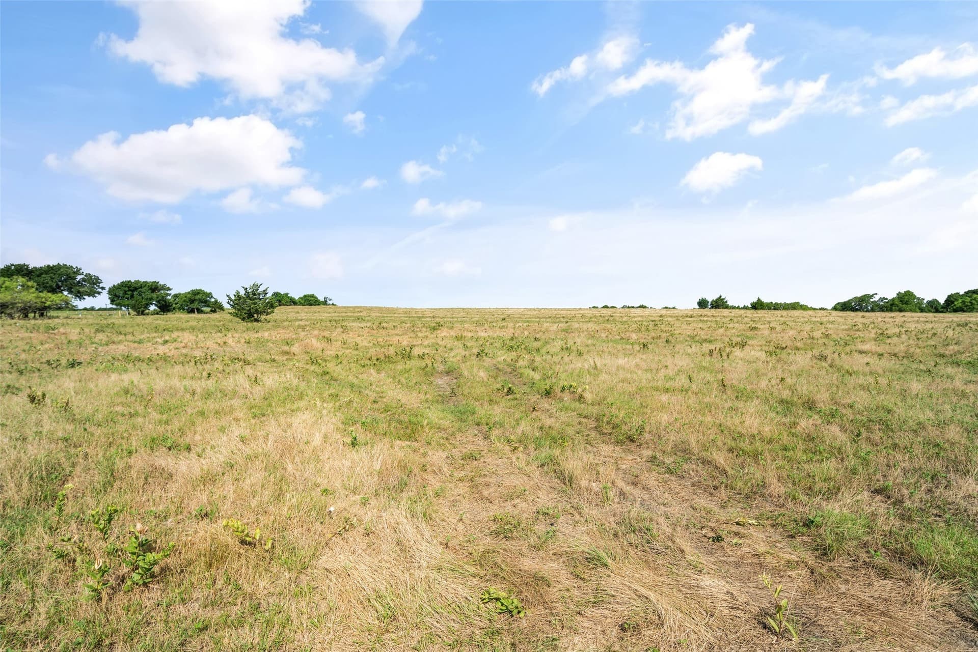 36.87 acres in Collin County - photo 28