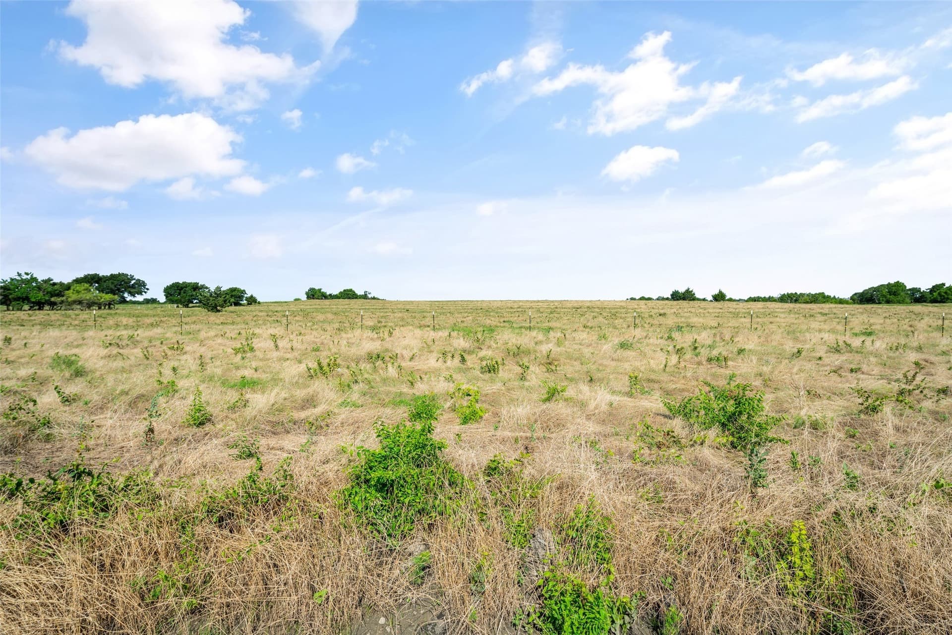 36.87 acres in Collin County - photo 13