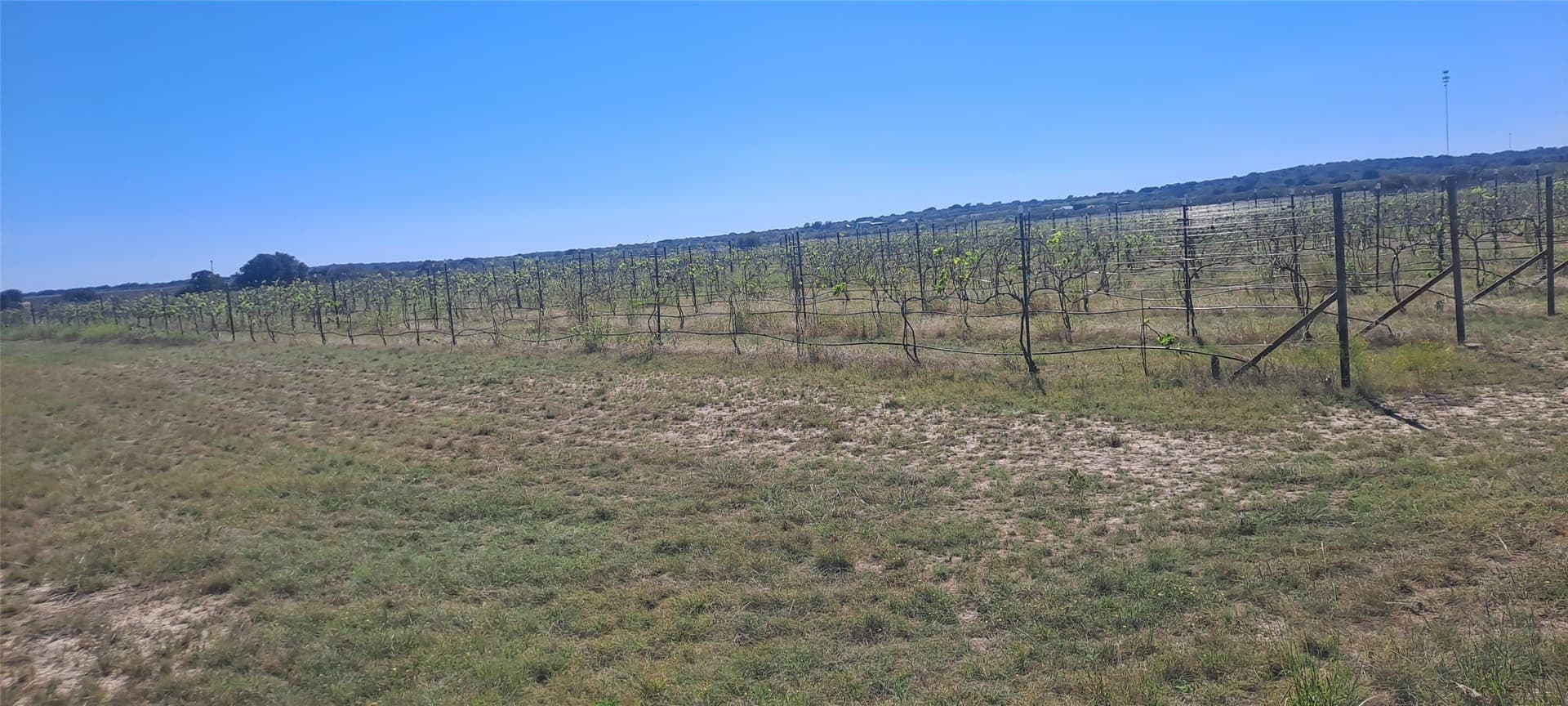 30.45 acres in San Saba County - photo 5