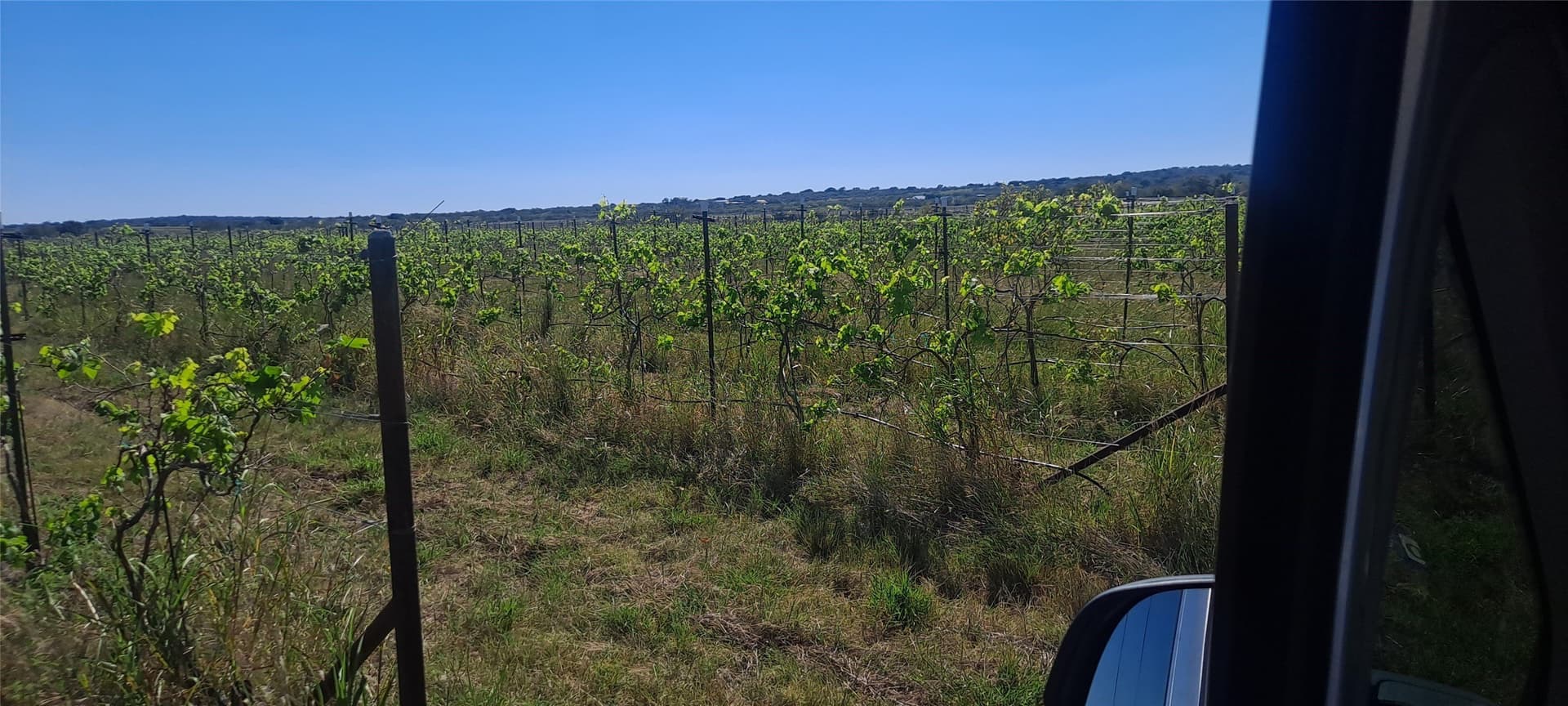 30.45 acres in San Saba County - photo 12