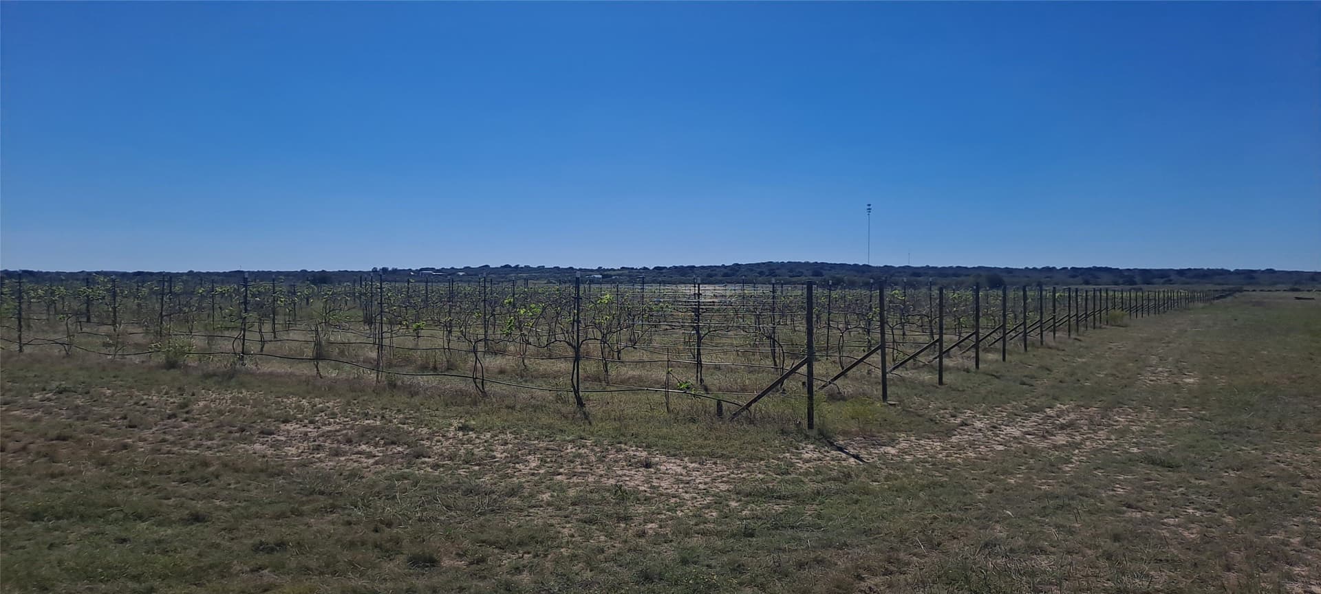 30.45 acres in San Saba County - photo 10