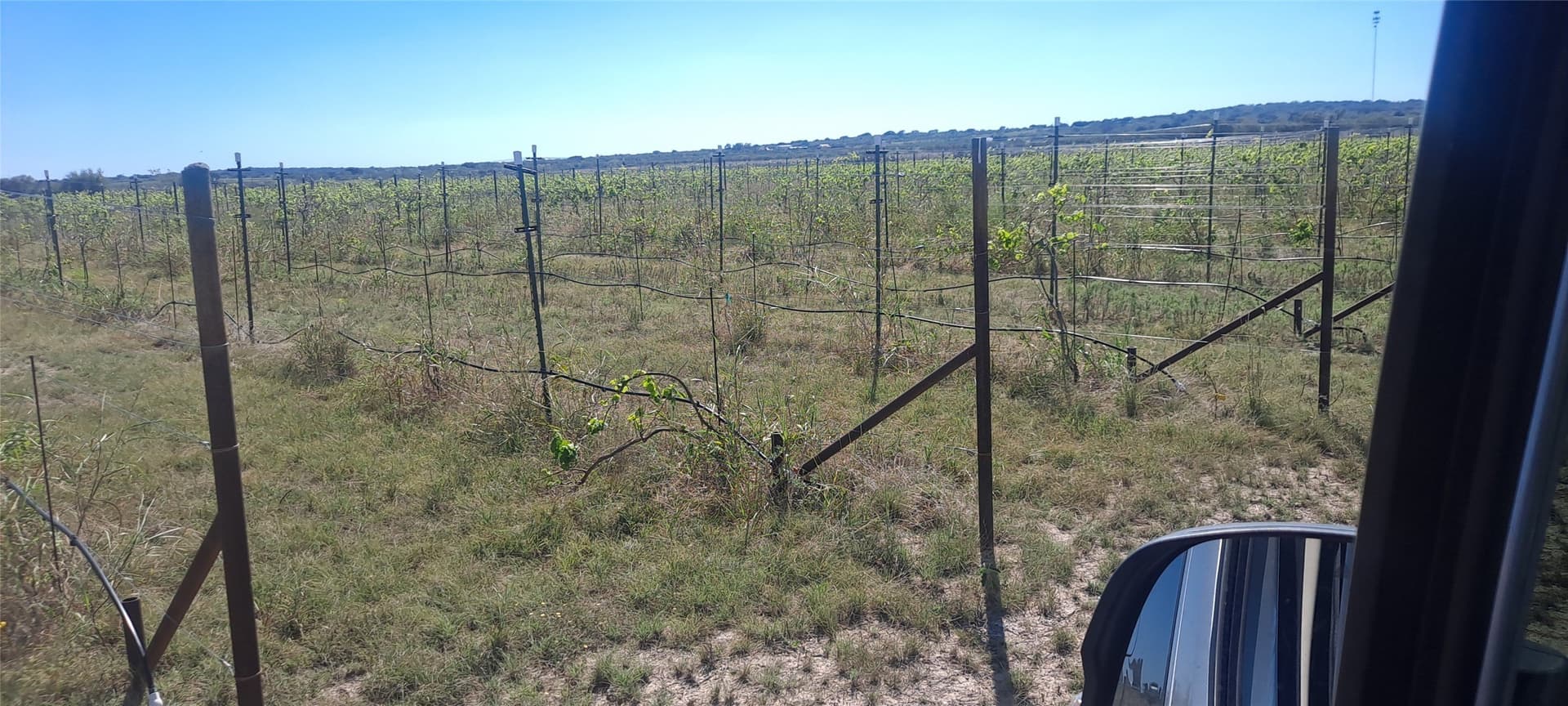 30.45 acres in San Saba County - photo 11