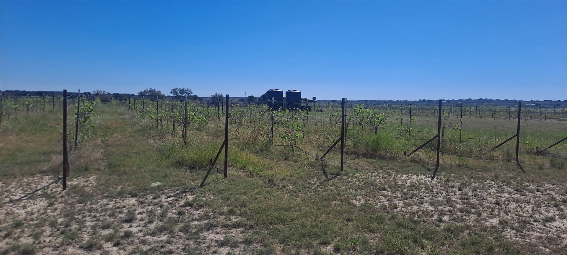 30.45 acres in San Saba County - photo 4