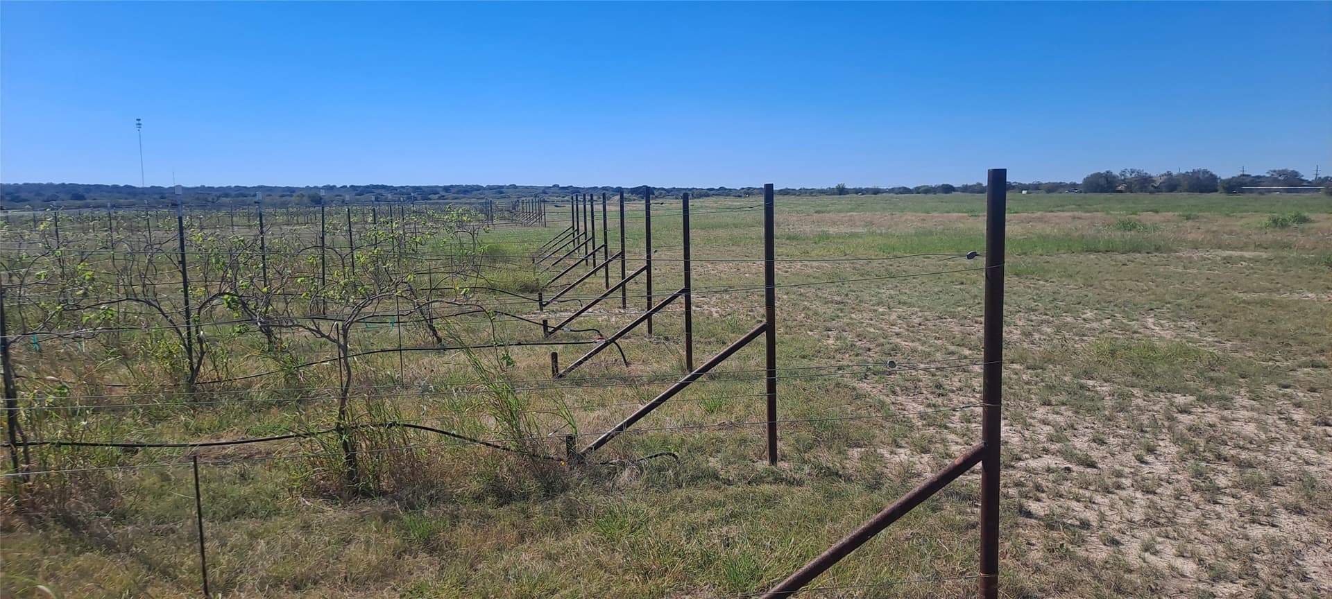 30.45 acres in San Saba County - photo 3