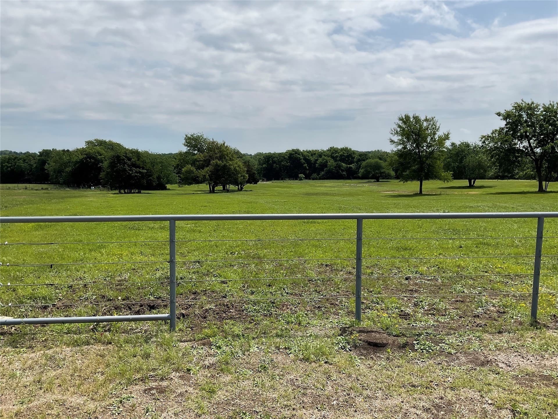5 acres in Fannin County gallery image 3