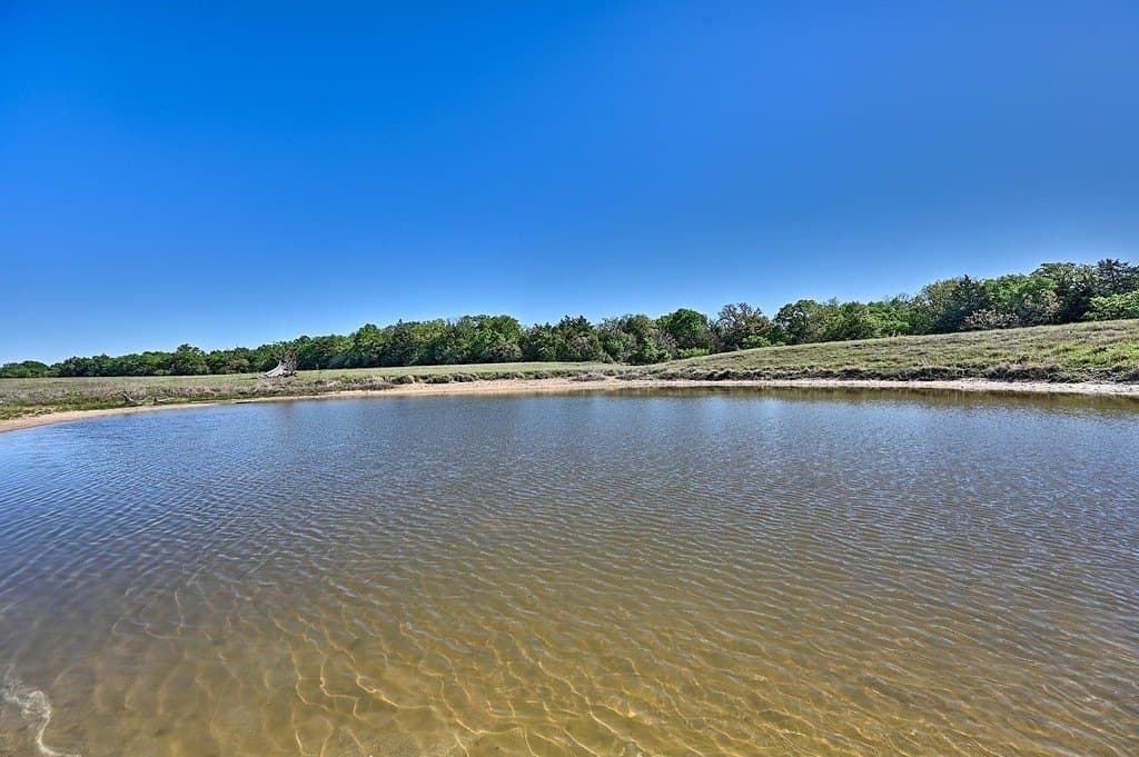30 acres in Limestone County gallery image 3