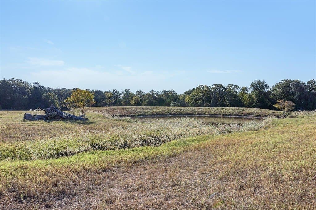 30 acres in Limestone County featured view