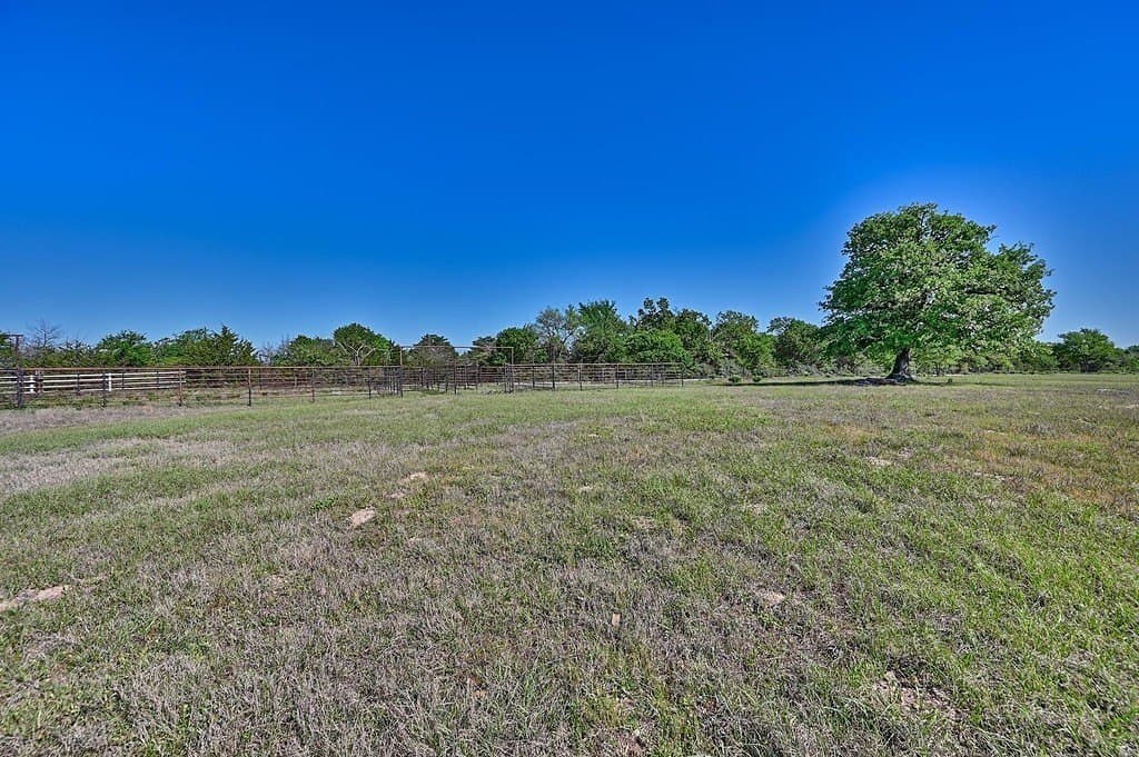 30 acres in Limestone County gallery image 4