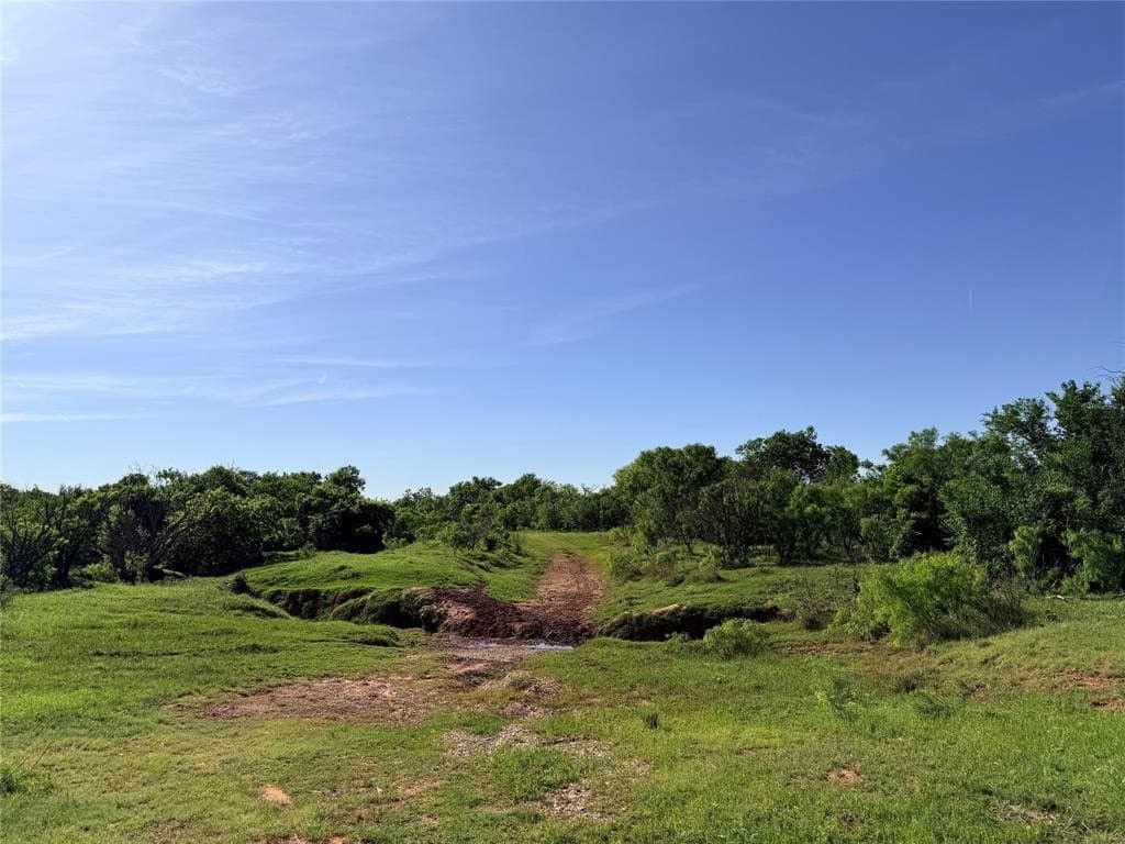 193 acres in Young County gallery image 4