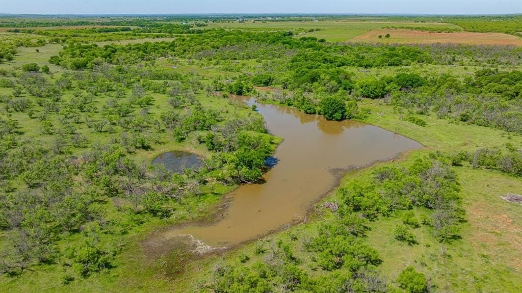 193 acres in Young County gallery image 3