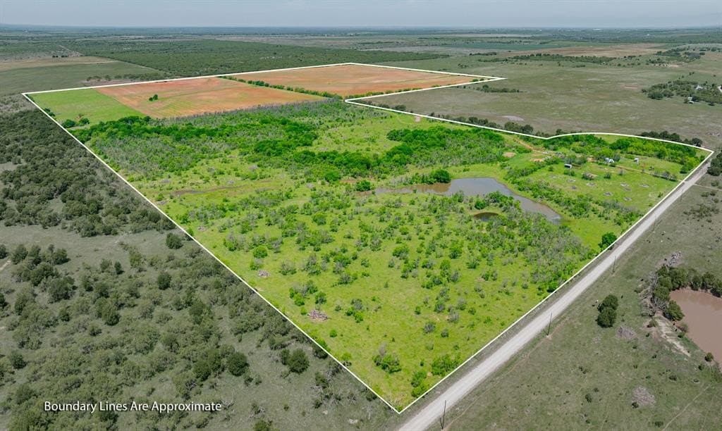 193 acres in Young County gallery image 2