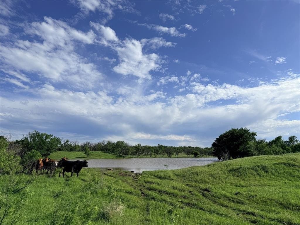 193 acres in Young County featured view