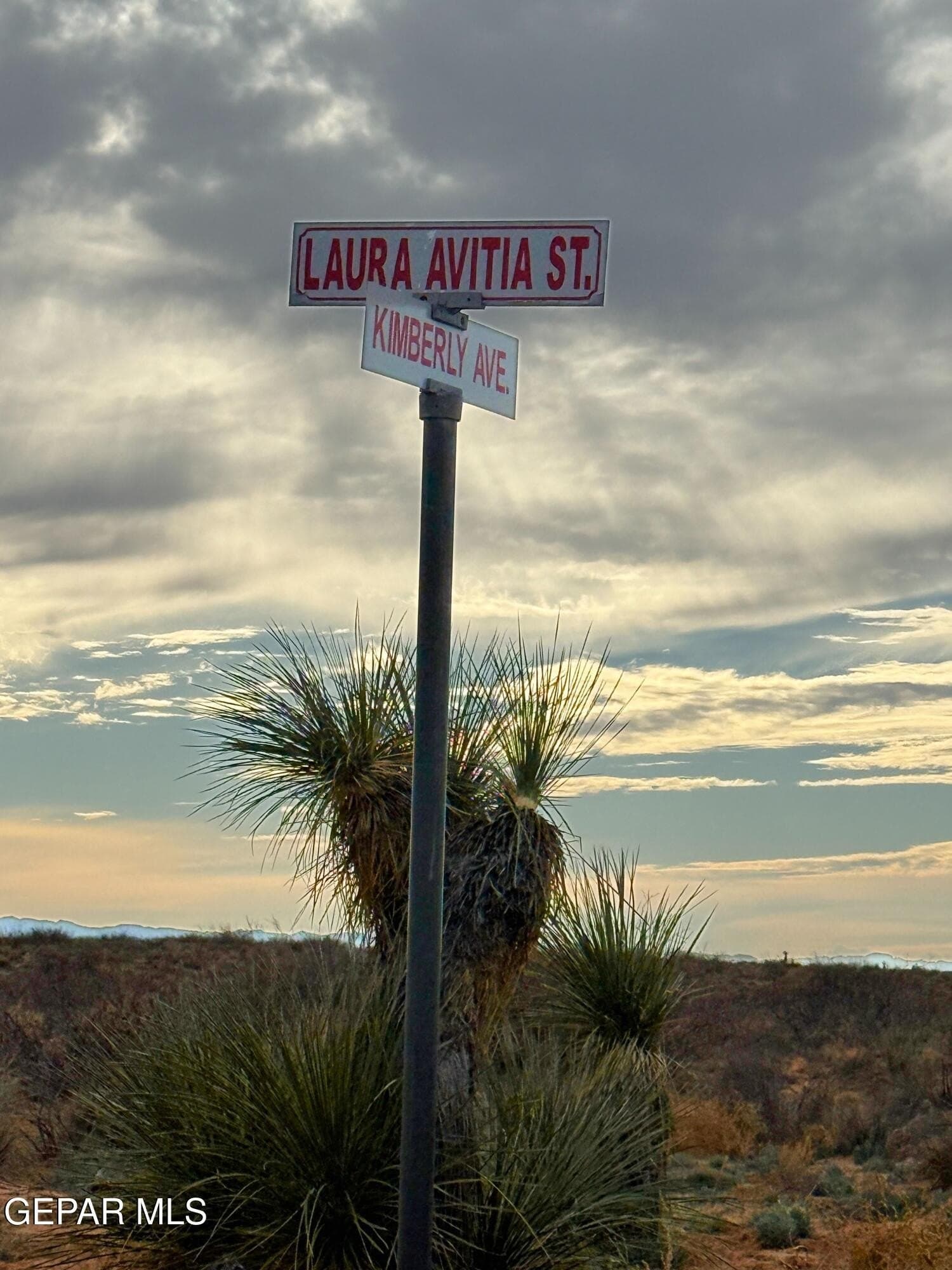 20 acres in Hudspeth County - photo 10