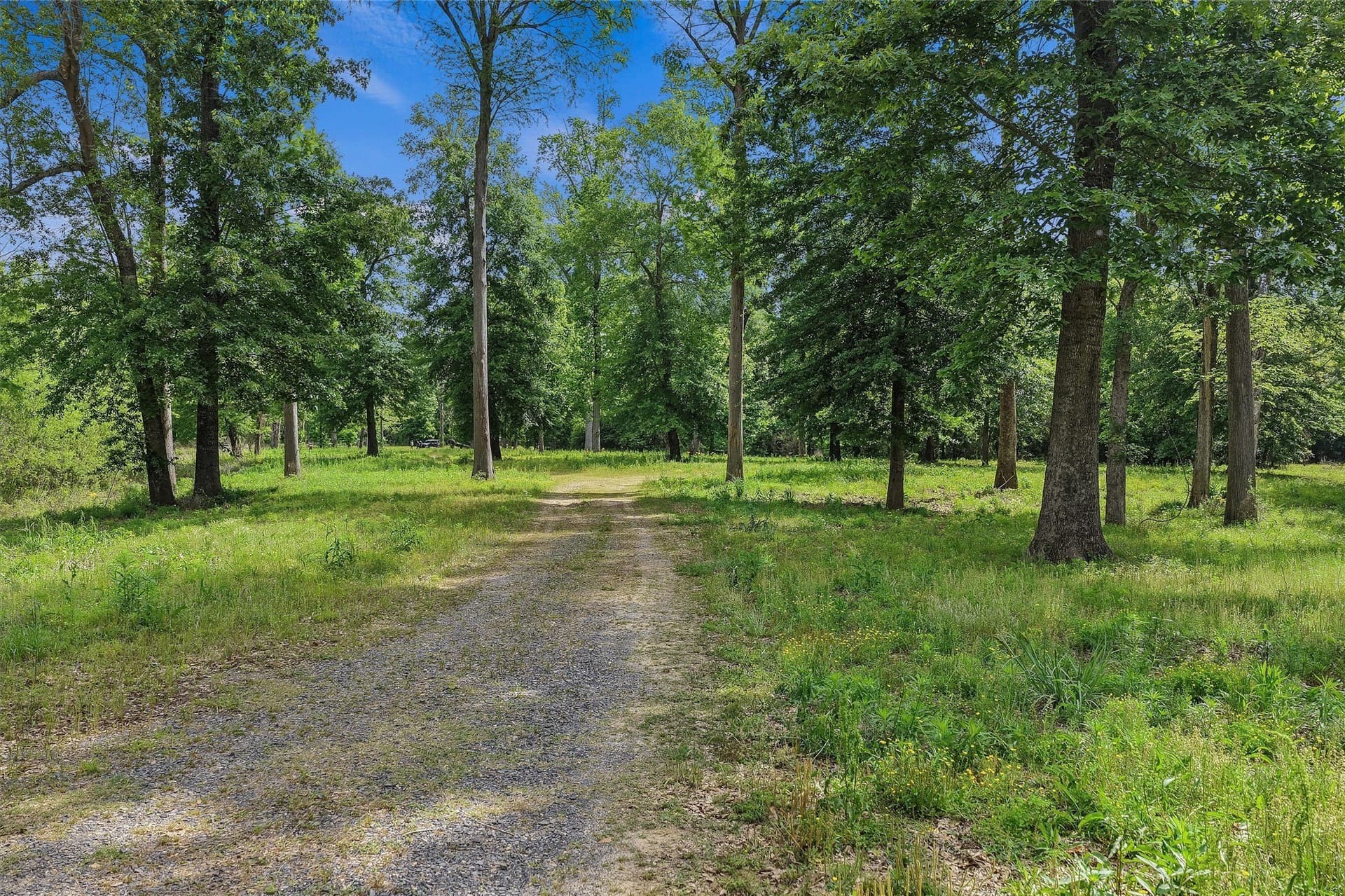 702.52 acres in Panola County - photo 3
