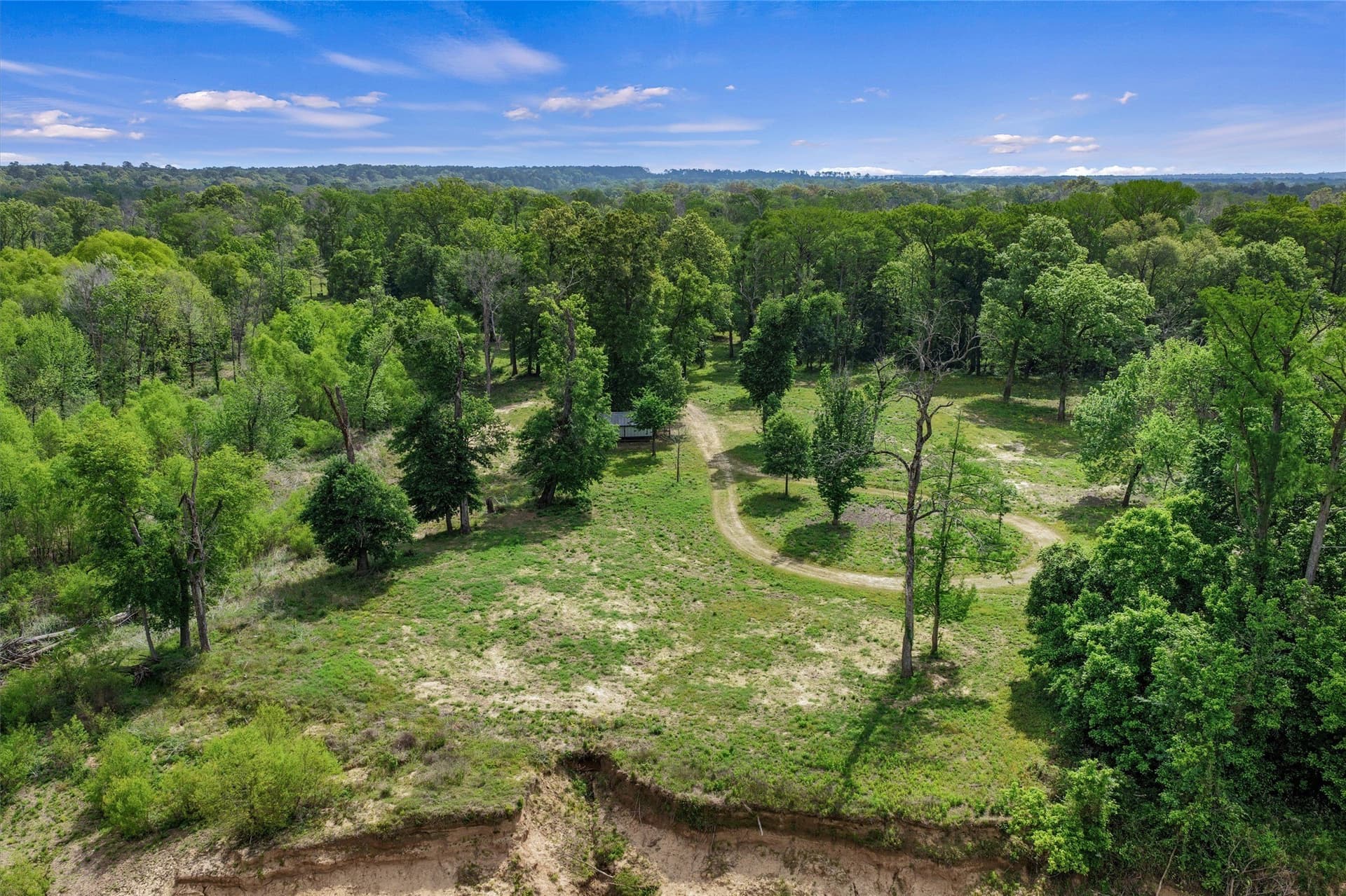 702.52 acres in Panola County - photo 8