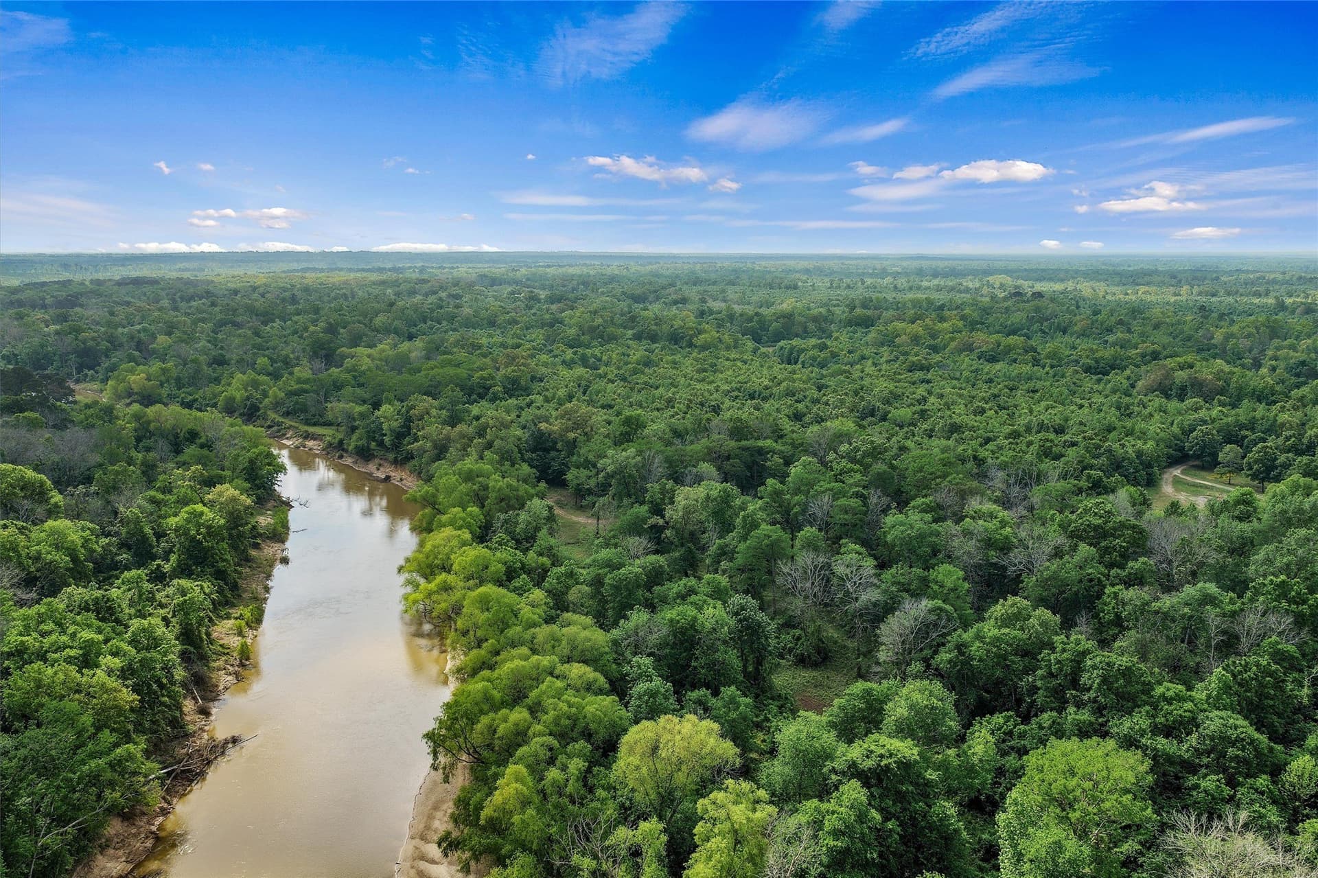 702.52 acres in Panola County - photo 12