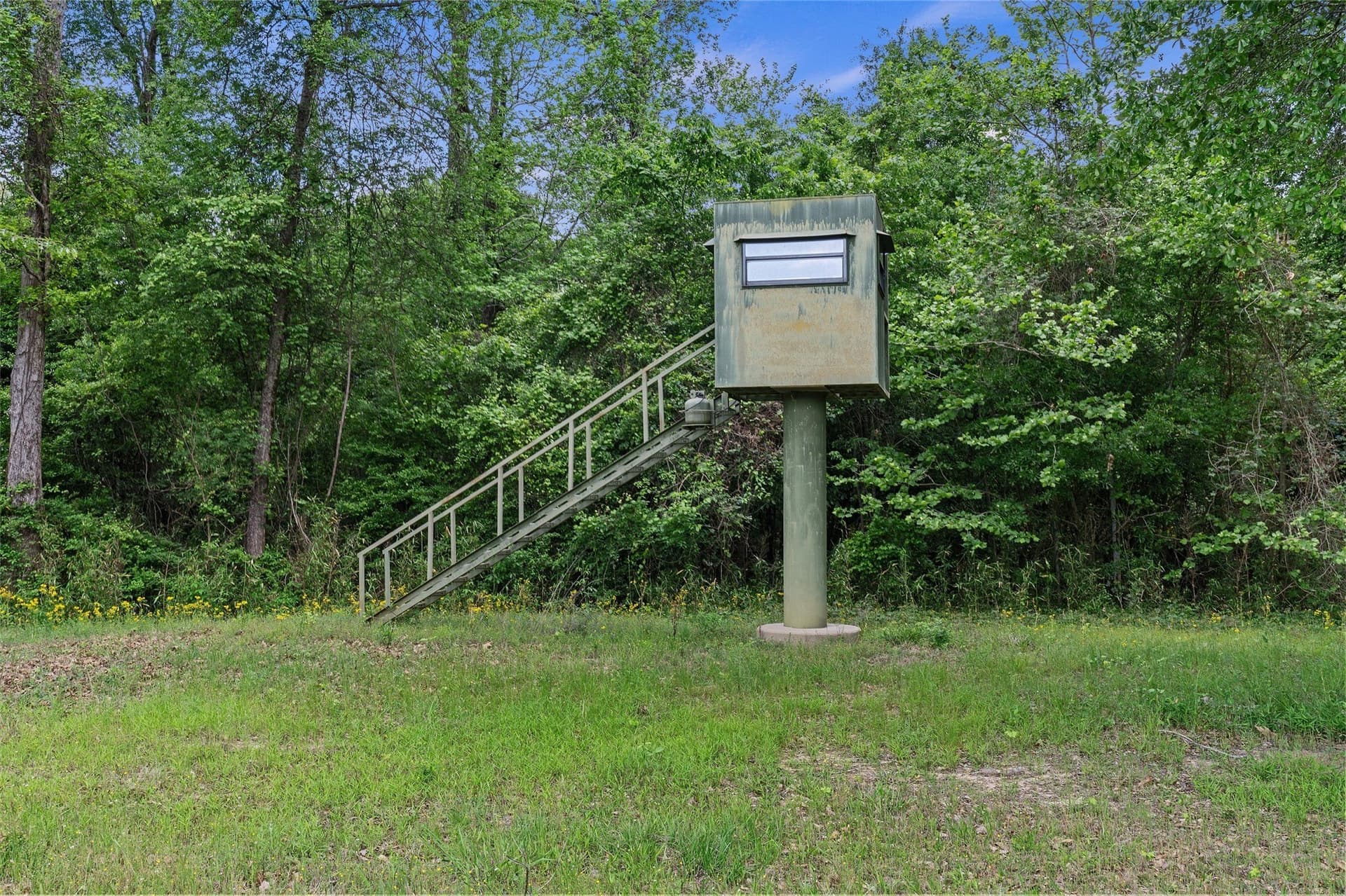 702.52 acres in Panola County - photo 25