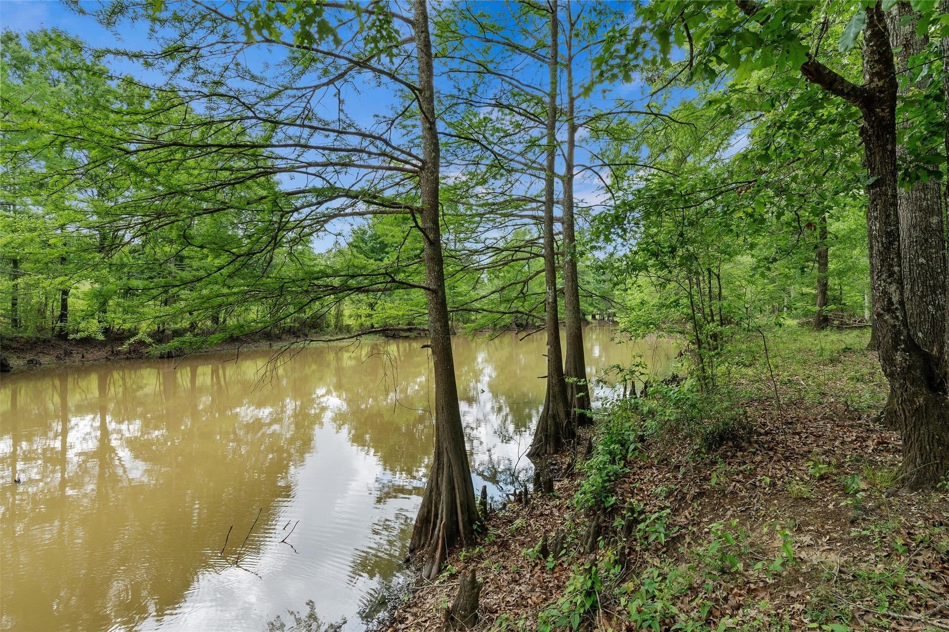 702.52 acres in Panola County - photo 7