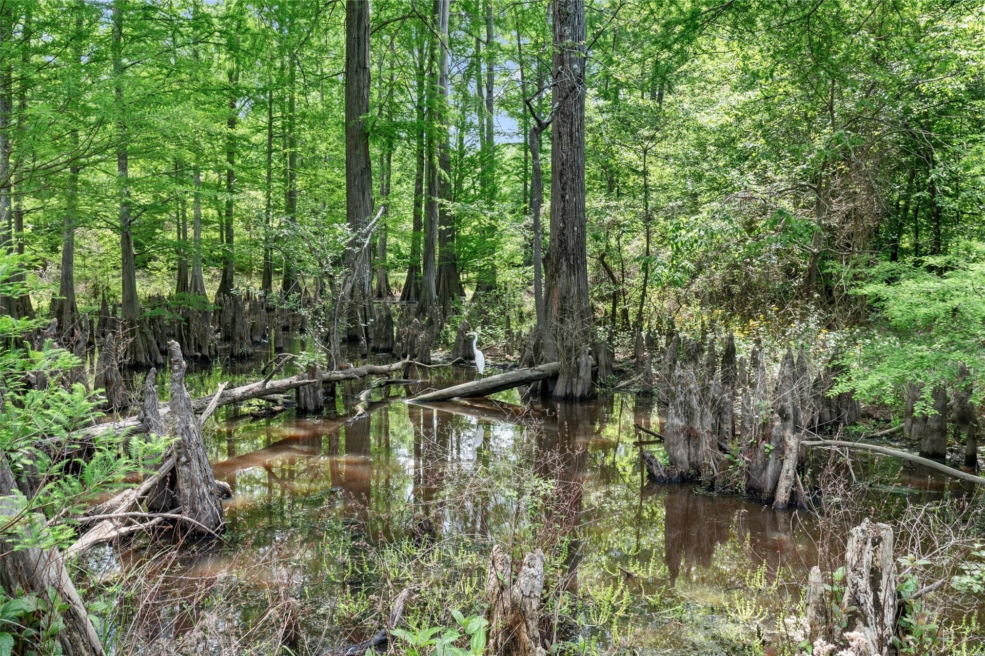 702.52 acres in Panola County - photo 9