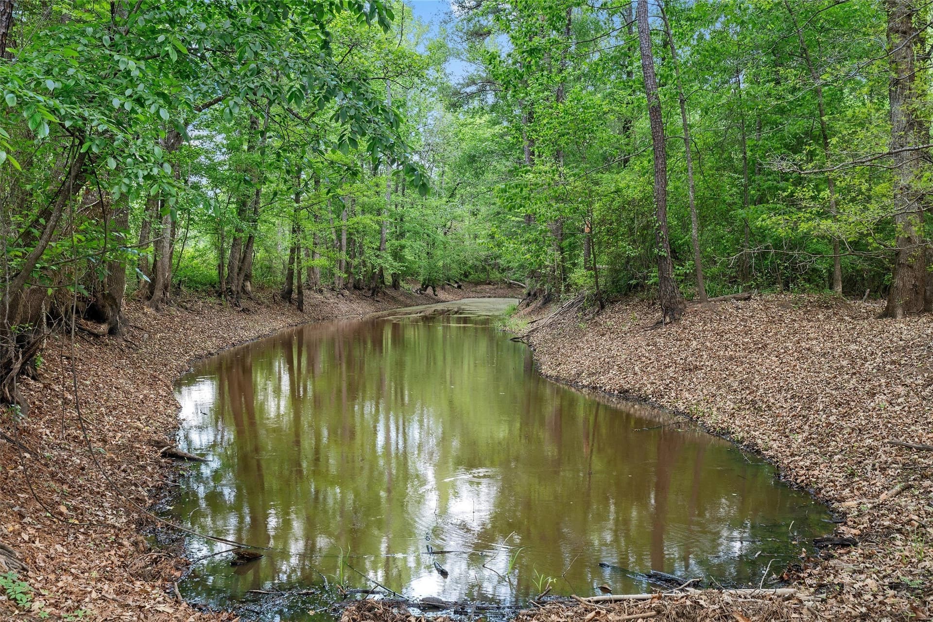 702.52 acres in Panola County - photo 17