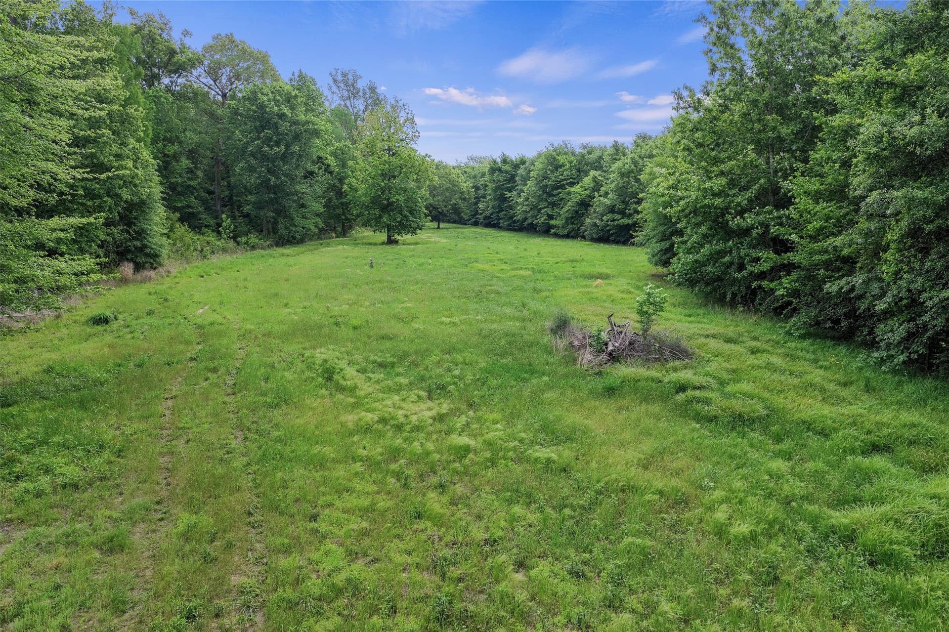 702.52 acres in Panola County - photo 22