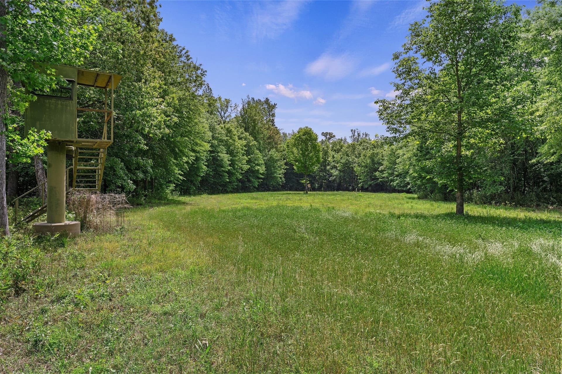 702.52 acres in Panola County - photo 18