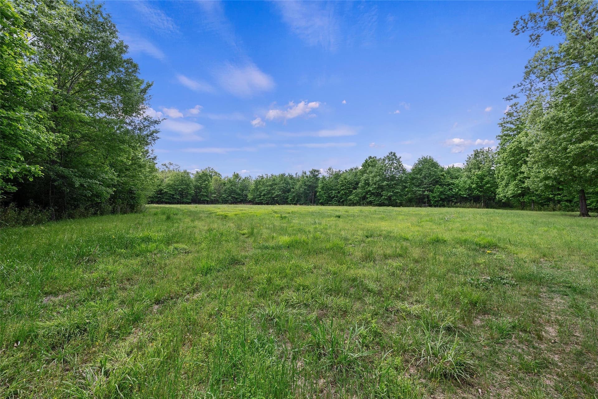 702.52 acres in Panola County - photo 26