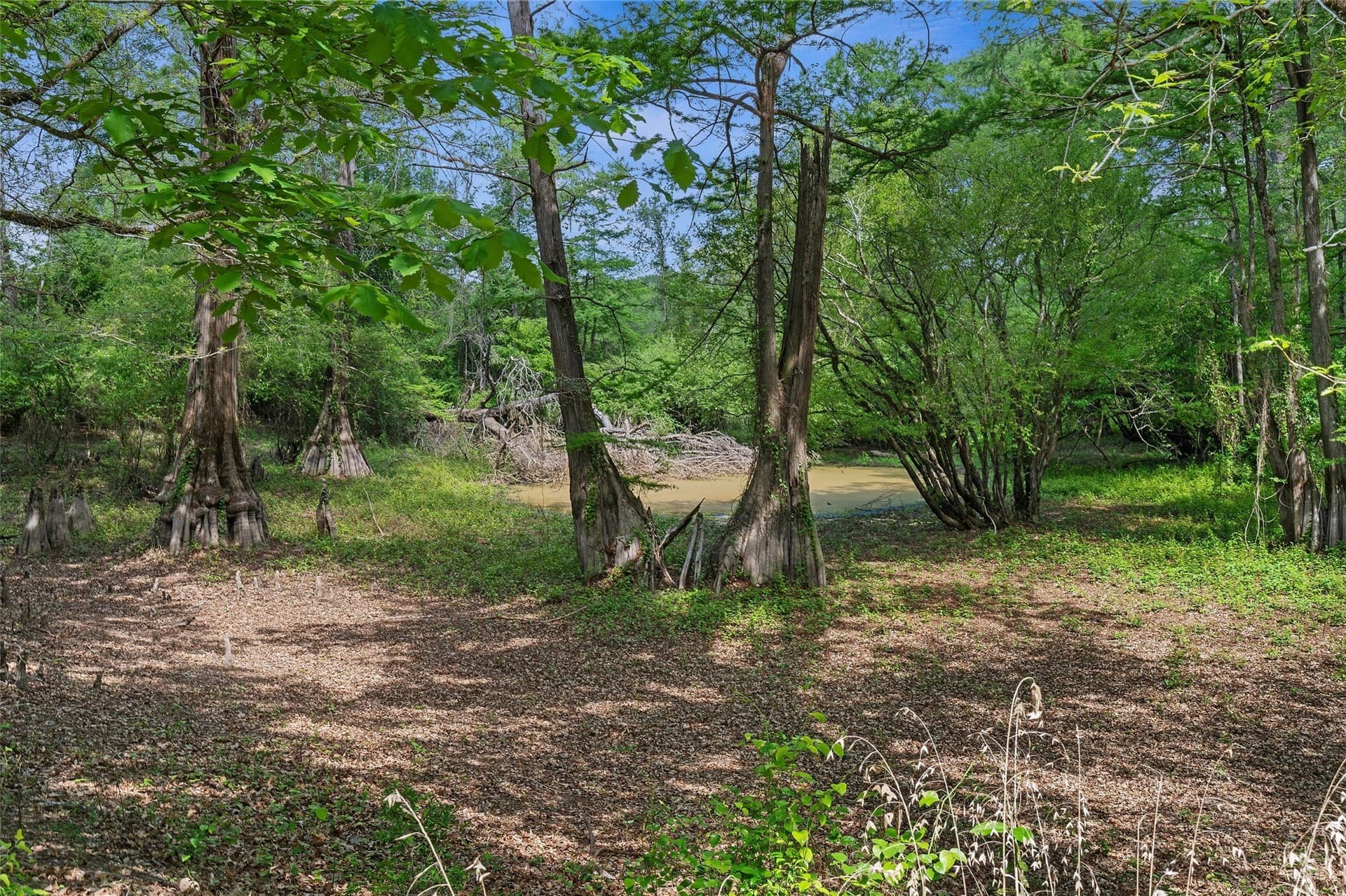 702.52 acres in Panola County - photo 20