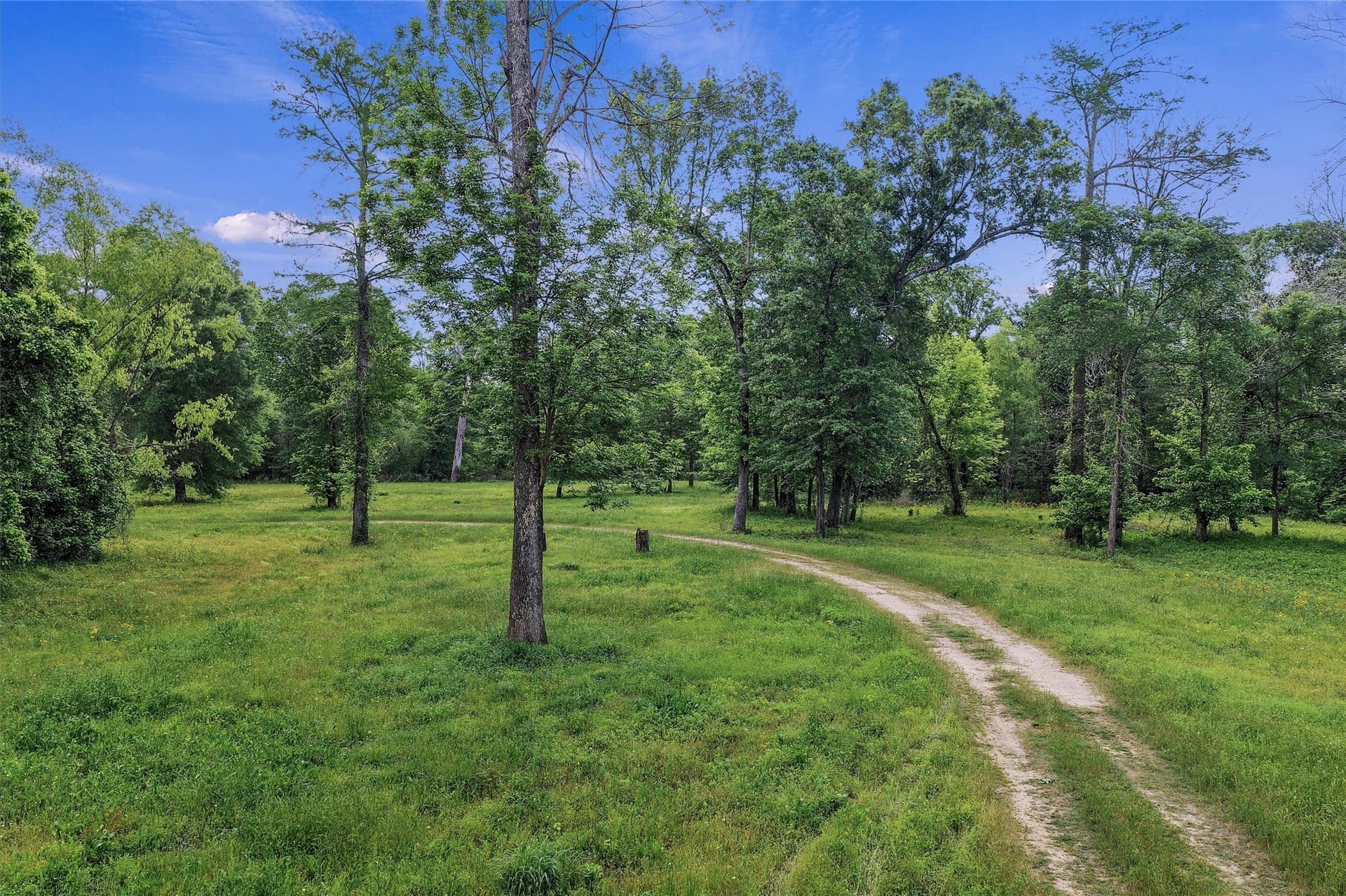 702.52 acres in Panola County - photo 6