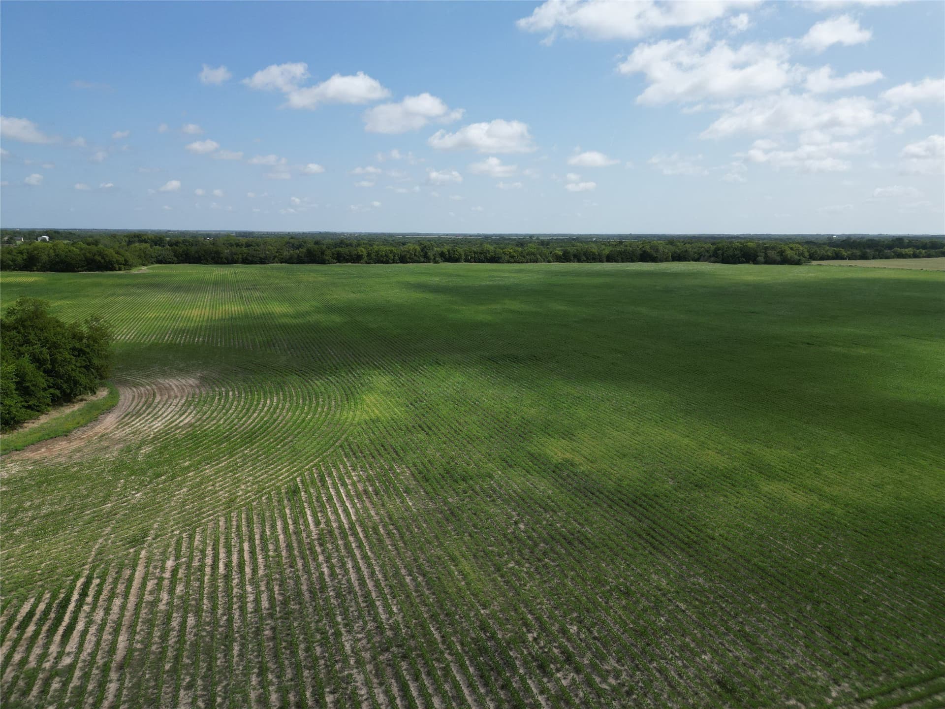 48 acres in Delta County - photo 9