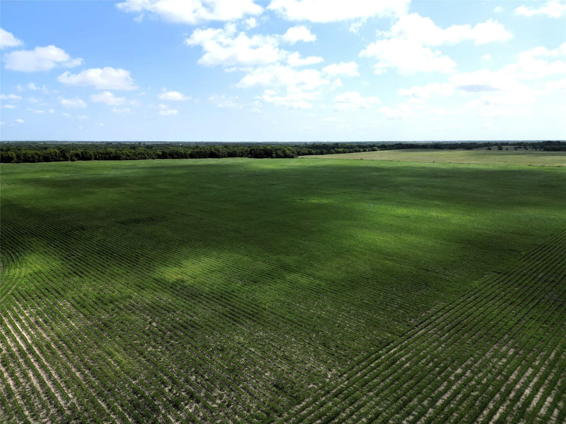 48 acres in Delta County - photo 8
