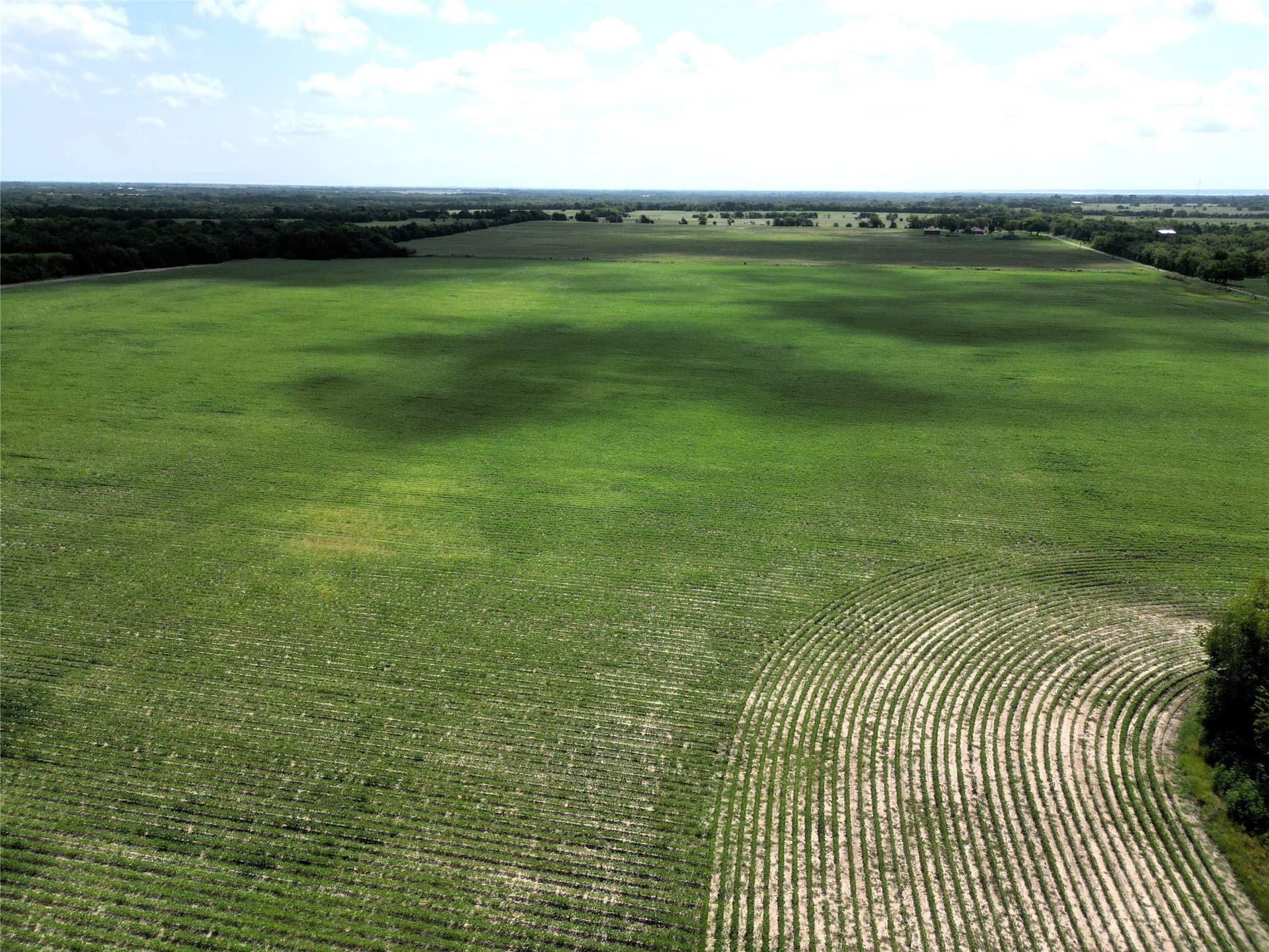 48 acres in Delta County - photo 16