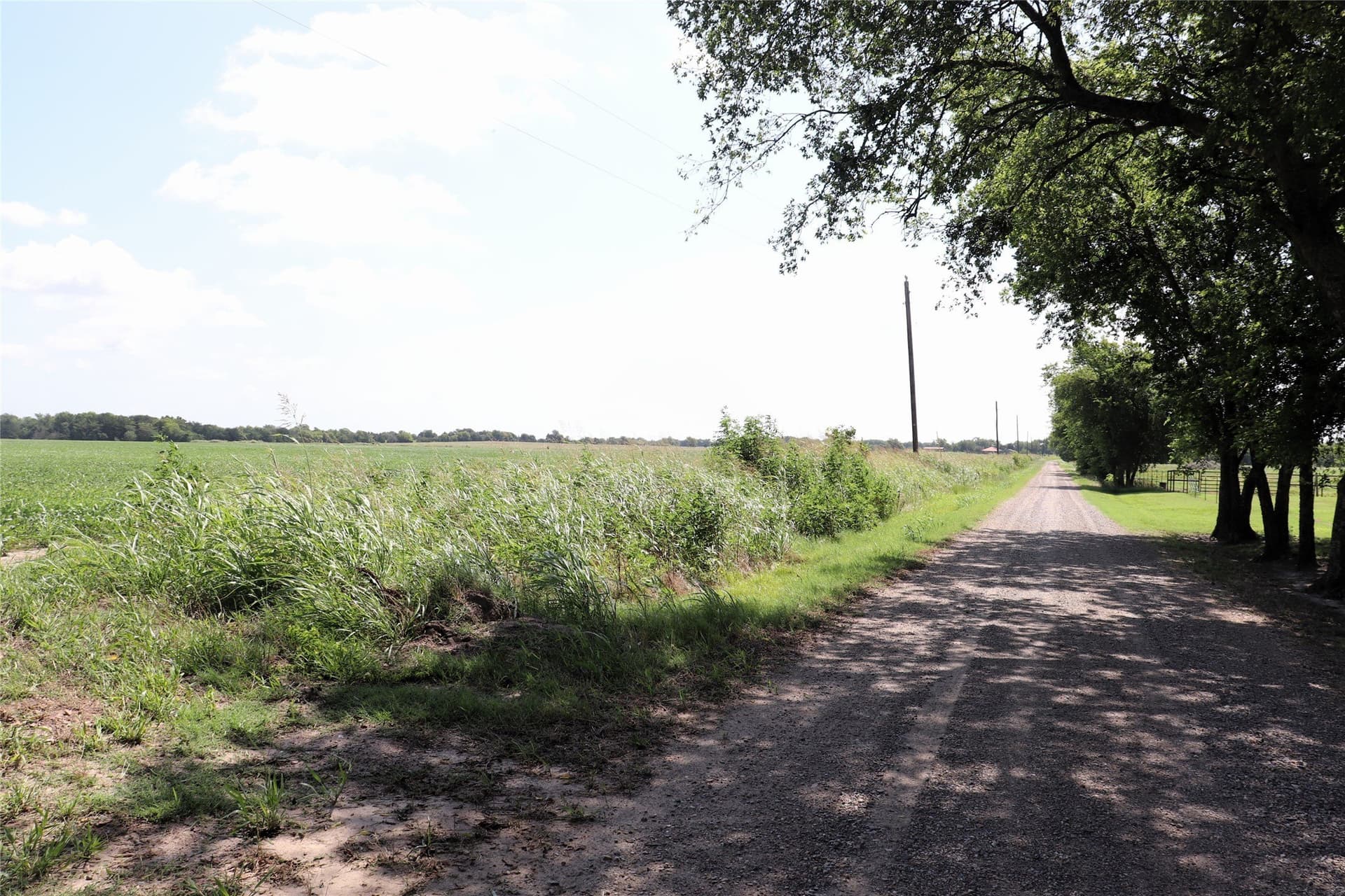 48 acres in Delta County - photo 17