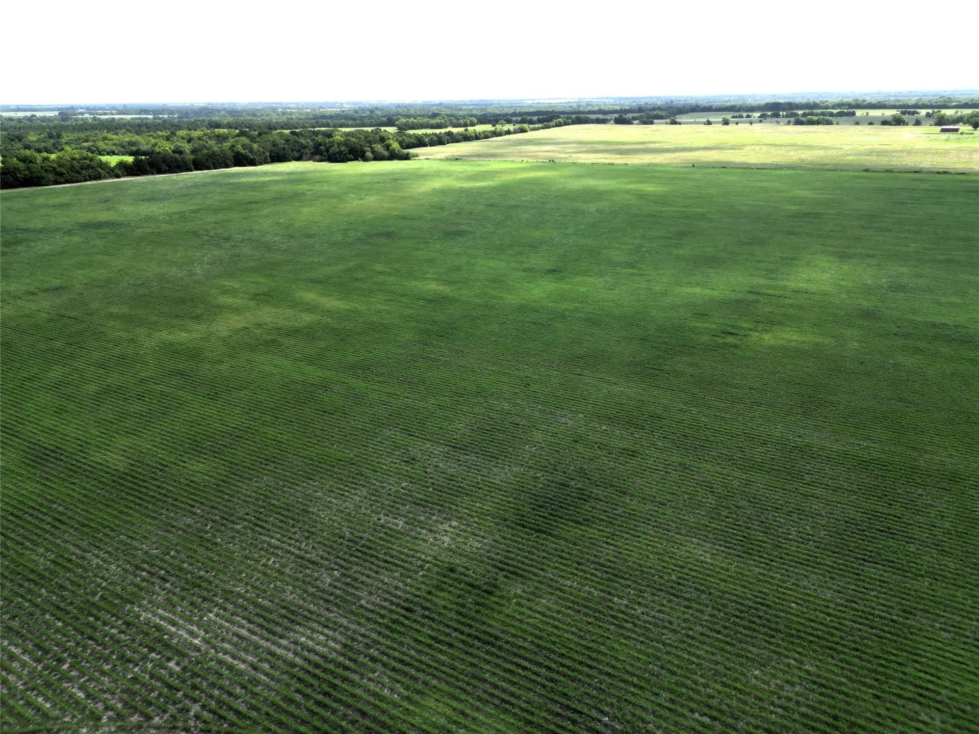 48 acres in Delta County - photo 12