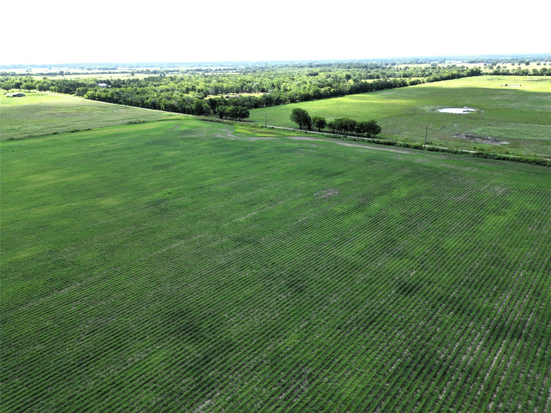 48 acres in Delta County - photo 14