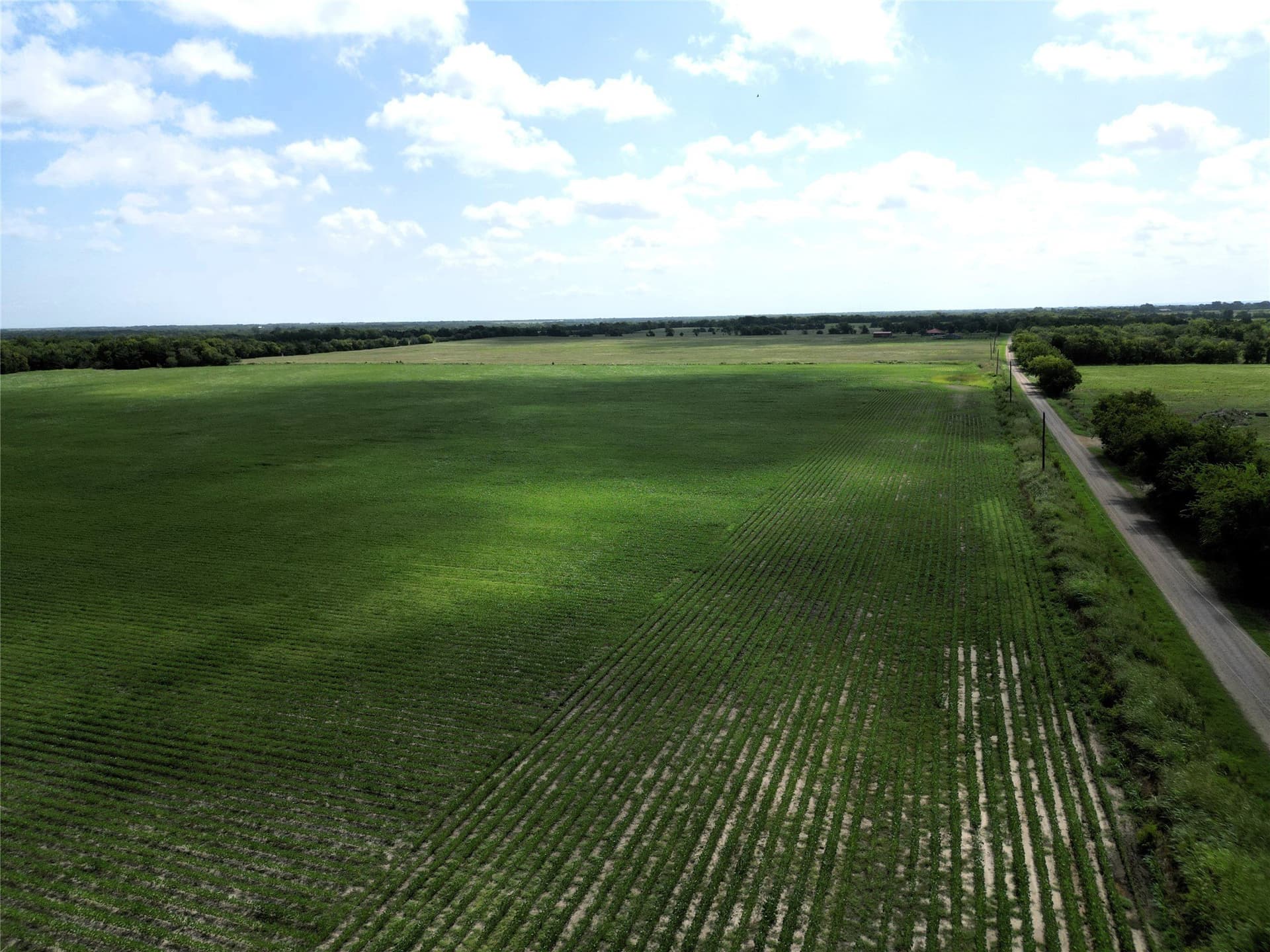 48 acres in Delta County - photo 7